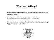 What Are Bed Bugs ? Bed Bugs Control Services | Awesome Pest