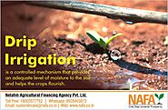 Drip irrigation: A promising approach for New paths for urban and peri-urban horticulture : Nafa