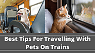 Best Tips For Travelling With Pets On Trains | RailRestro Blog - Food in Train