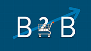 What is B2B eCommerce? Definition & Other Variants