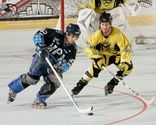 appnet - Best Inline Roller Hockey Skates Reviews