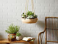 Use Beautiful Hanging Planters for an Attractive Home Décor - Free Guest Post - Headway Blog