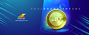 A Beginner’s Guide to Soulbound Tokens- The New Frontier in Identity Management