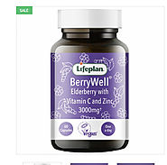Increase Your Immune System by Taking the Best Berrywell Elderberry