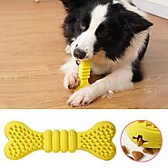 Rubber Chew Toy for Pets | ShoppySanta