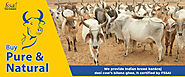 Panchagavya Desi Cow Products Online Store | Vaidikmart
