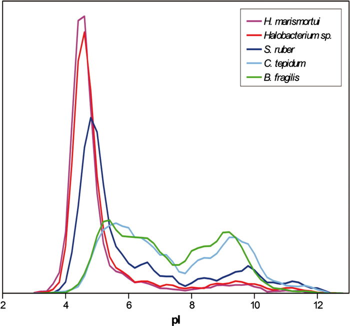 Adopt A Bacterium Salinibacter ruber A Listly List