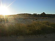 Kgalagadi Transfrontier National Park