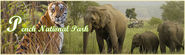 Pench, Pench National Park, About Pench National Park