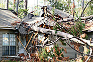 Important Fact to Know About Storm Damage in Savannah