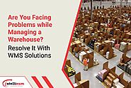 Are You Facing Problems While Managing a Warehouse? Resolve It with WMS Solutions