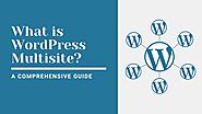 What is WordPress Multisite? A Comprehensive Guide