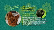 Pet Care, Supplies & Dog Grooming Abracadabra Pet Center Ormond Beach