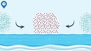 How Are Hurricanes Formed?