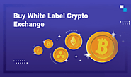 Buy white label cryptocurrency exchange | Join Antier Solutions