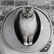 Litter-Robot 3 Connect - Self-Cleaning Smart Cat Litter Box