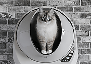 Litter-Robot 3 Connect - Self-Cleaning Smart Cat Litter Box Review