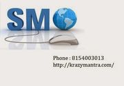 A Professional SMO Promotion Services Marketing Consultant