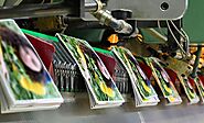Digital Apparel - T-Shirt Embroidery Printing - Alpharetta GA
