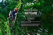Wattsarb Tree Care Maintenance and Consultancy Devon - Wattsarb