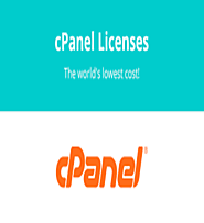 Which type of cPanel license should I purchase?