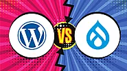 Which CMS is better? WORDPRESS or DRUPAL : Let’s find out!