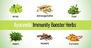 Best Ayurvedic Immunity Booster Herbs, Foods and Products