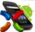 How to Manually Update Android 4.2.2 Jelly Bean into Google Nexus?