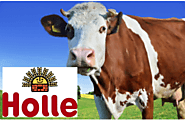 Holle Formula USA | Buy Holle Baby Formula | Little Moo Organics