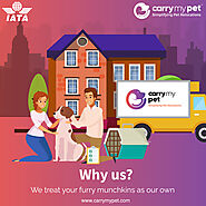Carry My Pet- Relocate Pet Domestically and Internationally