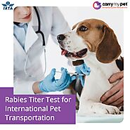 Rabies Titer Test for International Pet Transportation
