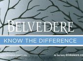 Belvedere ad banned for suggesting alcohol leads to a better night out