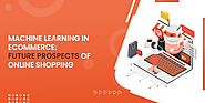 Machine Learning in Ecommerce: The Future of Ecommerce