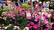 Chelsea Flower Show 2021: Low maintenance of outdoor space is important for tenants – TicketApt.com