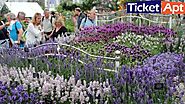 Website at https://blog.ticketapt.com/rhs-chelsea-flower-show-2021-virtual-show-held-this-week/