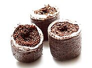 Coco coir substrate: A unique sustainable solution for eco-friendly horticulture