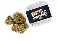 Online Weed Stores To Buy Weed In Canada