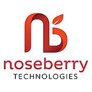 Noseberry Technologies - Consultants 500