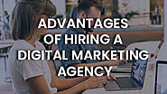 Advantages of hiring a digital marketing agency - Noseberry Technologies