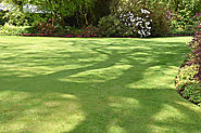 Aerating for a perfect lawn - The English Garden