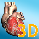 Explore the Heart in 3d By Sify