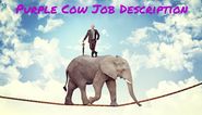 The Purple Cow Job Description - Should I Apply?