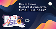 How to Choose the Right SEO Agency for Small Business?