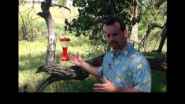Brian Vickery - Clients and Hummingbirds - Find, Engage and Nurture - YouTube