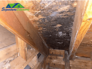 Check your Attic for Signs of a Roof Leak