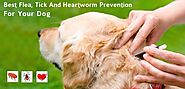 Best Flea, Tick & Heartworm Prevention for your Dog