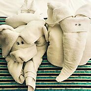 The Funny Folded Towels