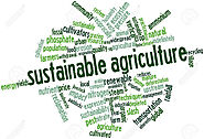 Website at https://katkutagro123.wordpress.com/2021/03/31/why-sustainable-agriculture-remains-relevant-in-the-new-eco...