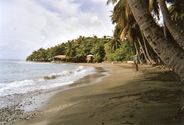 Playa Palenque Panamá
