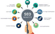 Best SEO Company in india